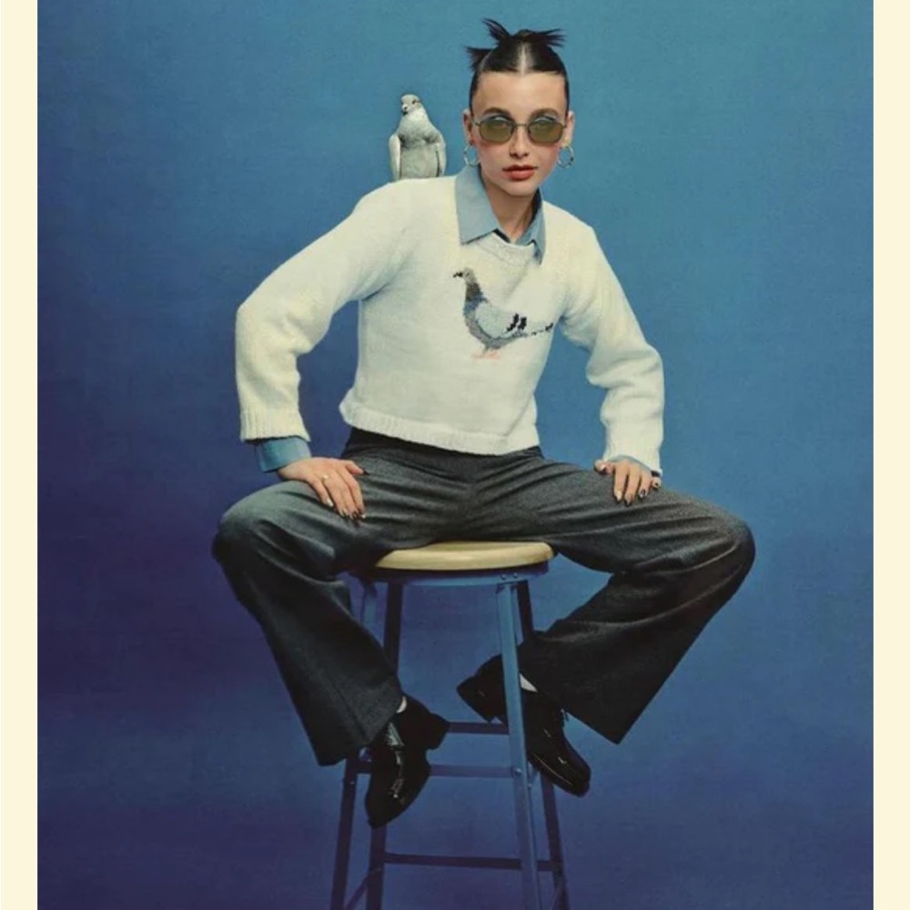 DISO JAMIE LERNER X EMMA CHAMBERLAIN X WARBY PARKER PIGEON SWEATER DO NOT BUY!!!